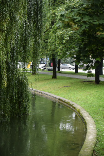 DSC_0036.jpg